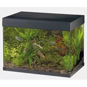 Superfish Crystal Aquarium Set Zwart Groenrijk Beneden Leeuwen