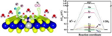 Transition Metal Doping Activated Basal Plane Catalytic Activity Of Two