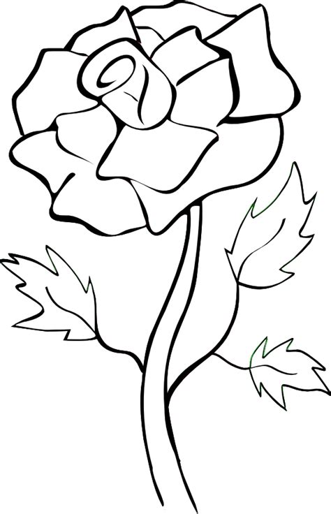 White Cartoon Rose Png Clip Art Library