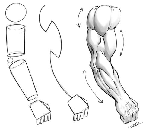 Drawing Arm Anatomy Tutorial By Robertmarzullo On Deviantart