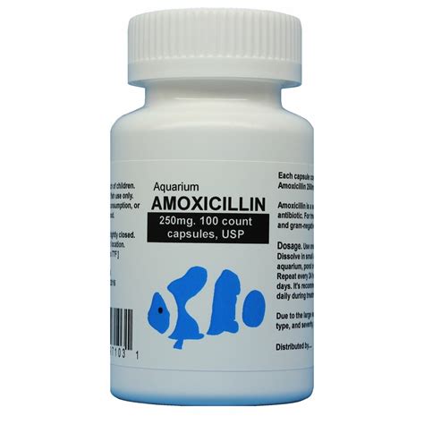 Amoxicillin Fish Mox 250mg 100 Capsules Antibiotics Fish
