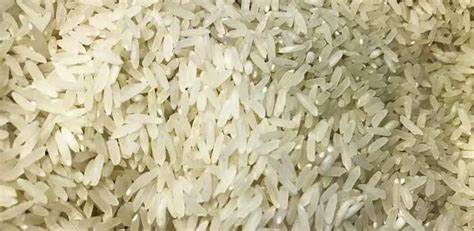 Governo Federal Anula Leil O E Cancela Compra De Arroz Importado