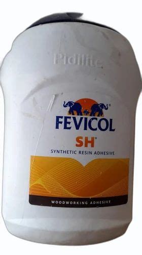 Kg Pidilite Fevicol Sh Synthetic Resin Adhesive At Rs Piece In