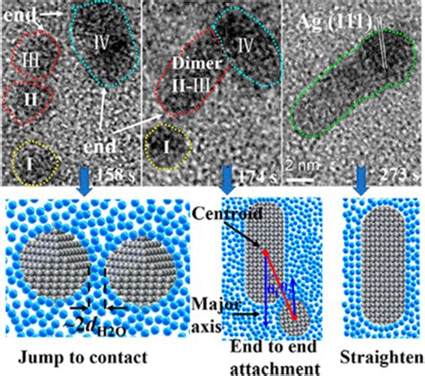 Understanding The Ensemble Of Growth Behaviors Of Sub 10 Nm Silver