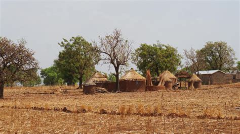 R Silience Dans La R Gion Des Savanes R Publique Togolaise