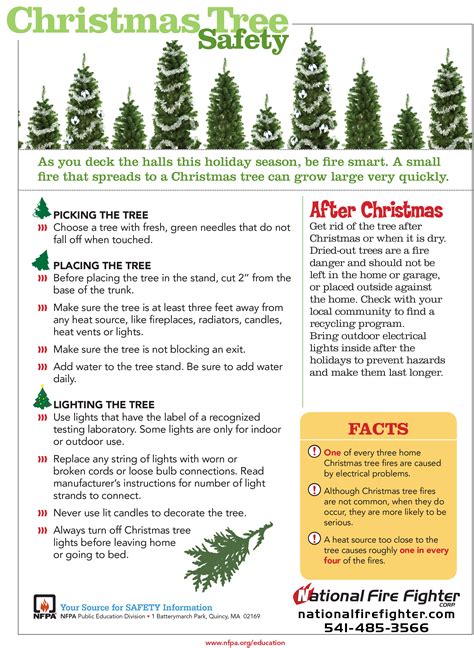 Christmas Tree Safety