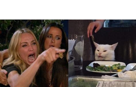 Two Women Yelling At A Cat Blank Template Imgflip