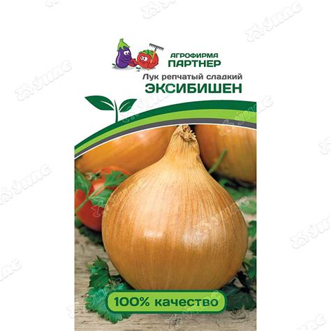 Лук Эксибишен Партнер Ц – купить семена оптом