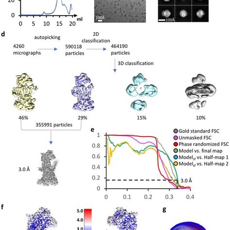 Data Processing And Validation Of Cryo Em Micrographs And 3d