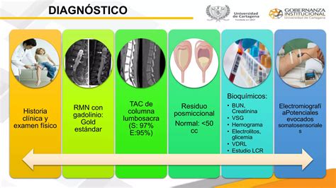 SX DE CAUDA EQUINA Y CONO MEDULAR Pptx