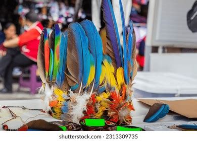 12 Feather Headdress Indigenous Tribes Shaman South America Images ...