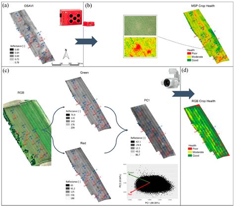 Figure From Using Uav Collected Rgb And Multispectral Images To