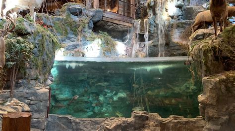 Naked Man Arrested After Cannonball Jump Into Alabama Bass Pro Shop