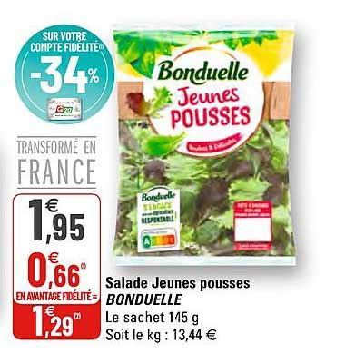 Promo Salade Jeunes Pousses Bonduelle Chez G20 ICatalogue Fr