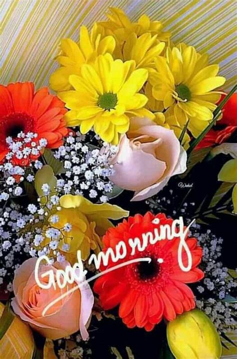 Pin By Sadasivam Sadayappa Gounder On Morning Greetings Quotes Good Morning Flowers Good