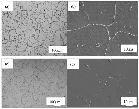 Influence Of Replacing Molybdenum With Tungsten On The Creep Fracture