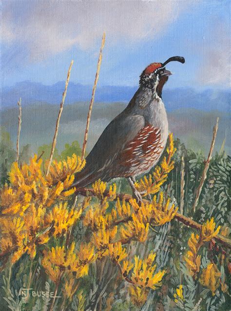 Daily Painters Of Colorado Bird Painting Quail Wildlife Art Fine