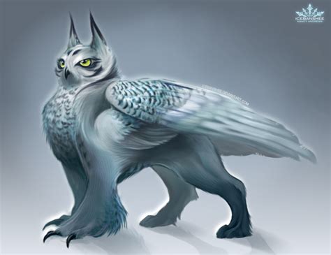 Avalanche The Owl Griffin By IceBanshee Fantasy Art Pinterest Owl