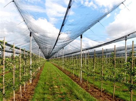 Mono Filament Anti Hail Net Protective Crops Coverfruit Tree