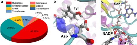 Short hydrogen bonds in proteins and their quantum mechanical nature ...