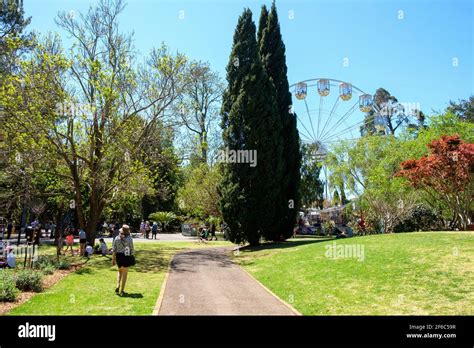 Carnival of Flowers - Toowoomba Stock Photo - Alamy