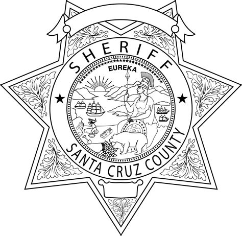 Santa Cruz Sheriff's Department Arrest Records: A Glimpse into Local Crime Trends 4