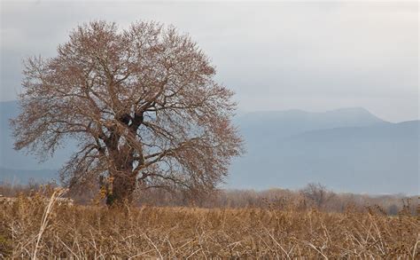 Путешествие по Грузии