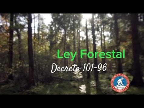 Ley Forestal Decreto 101 96 YouTube