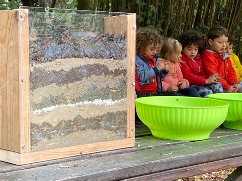 Prepariamo Un Lombricaio Al Bosco L Importanza Dei Lombrichi