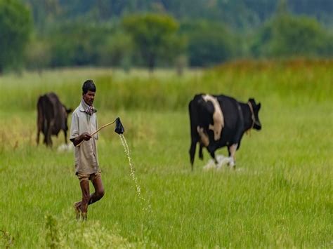 Karnataka Govt Forms Committee To Look Into Technologies And Measures To Help Farmers Double