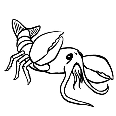 Lobster outline Step 9.jpg | Clipart Panda - Free Clipart Images