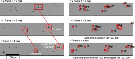 Occlusion mechanism and detection of the occlusion by tracking ...