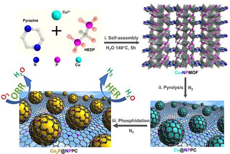 郑州大学臧双全团队Adv Mater氮磷双掺杂多孔碳包覆磷化亚铜复合材料HER和ORR双功能催化剂 X MOL资讯