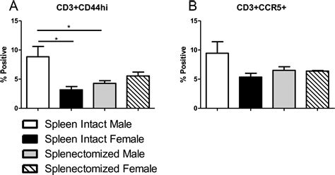 Splenectomy Reduces Infarct Volume And Neuroinflammation In Male But