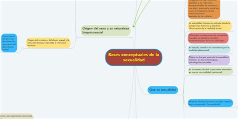 Mapa Conceptual De La Diversidad Sexual Diary Bersama