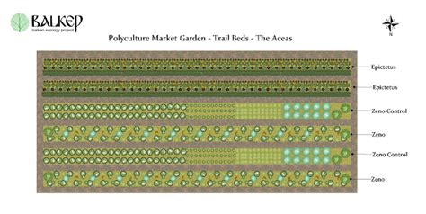 Balkan Ecology Project The Polyculture Market Garden Study Results