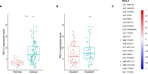 Frontiers Comprehensive Analysis Of Pd L1 Expression Immune