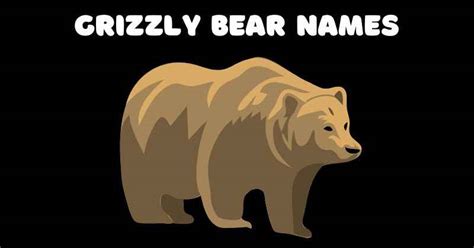 Cute Grizzly Bear Names Infoupdate Org