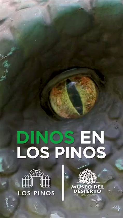 Secretaría de Cultura on Twitter Los dinos llegaron a Los Pinos