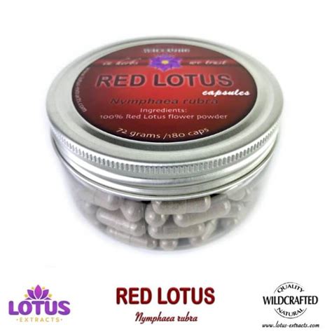 Red Lotus Flower Capsules Nymphaea Rubra Lotus Extracts