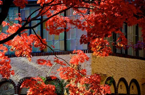 Autumn In The Gardens Joe Shlabotnik Flickr