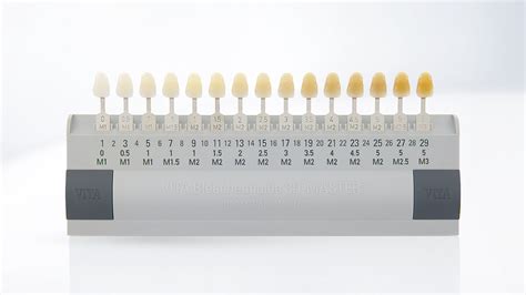 Teeth Color Chart The Shade Guide