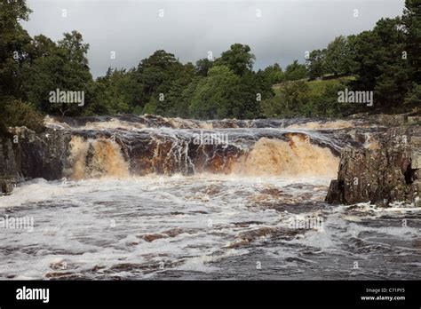 The River Tees at Low Force Waterfall in Flood Conditions Upper Teesdale County Durham UK Stock ...