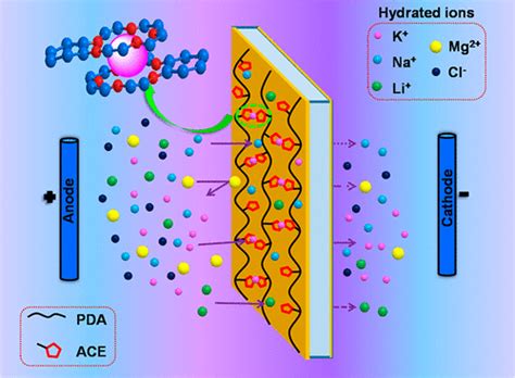 Codeposition Modification Of Cation Exchange Membranes With Dopamine