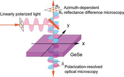 Inplane Optical Anisotropy Of Lowsymmetry D Gese Advanced Optical