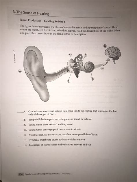 Answered: 3. The Sense of Hearing Sound… | bartleby