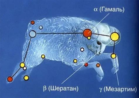 Зодиакальное созвездие Овен в рисунках для школы и садика.