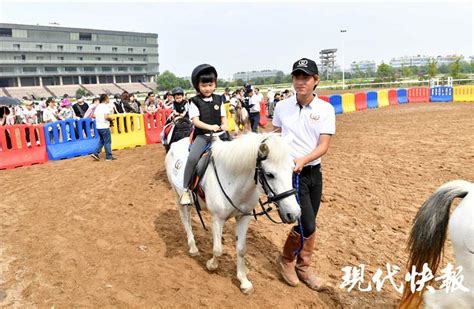 高大上！南京成立首支幼儿马术队，未来让更多孩子接触马术腾讯新闻