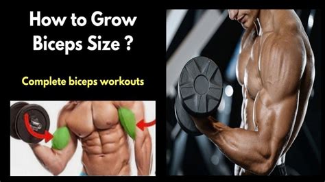 Biceps Brachialis Exercises To Build Bigger Biceps Youtube Big