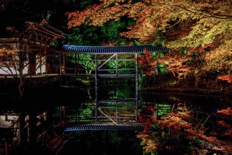 The 10 Best Autumn Leaves Spots In Kyoto You Should Visit